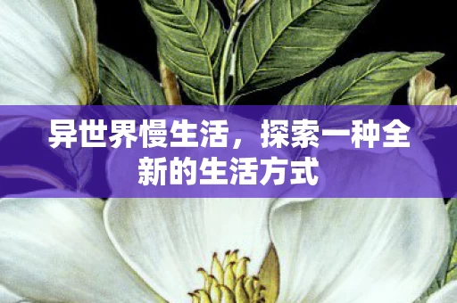 探索一种全新的生活方式图片