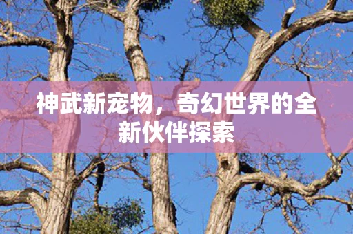 奇幻世界的全新伙伴探索图片