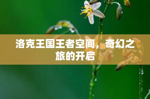洛克王国王者空间图片
