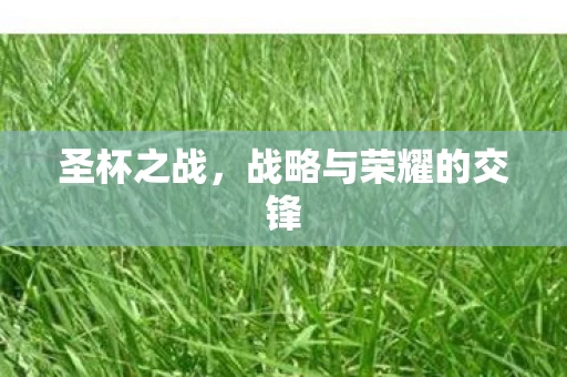 战略与荣耀的交锋图片
