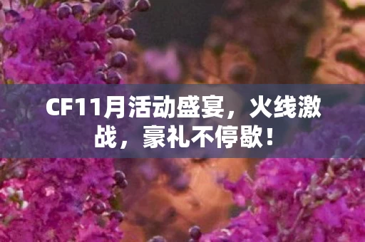 CF11月活动盛宴图片