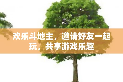 邀请好友一起玩图片