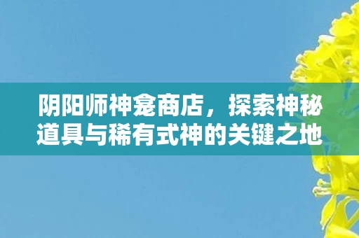 探索神秘道具与稀有式神的关键之地图片