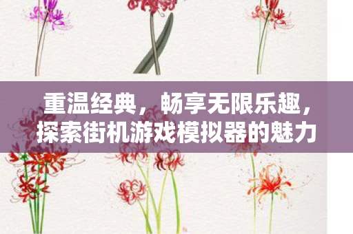 探索街机游戏模拟器的魅力图片