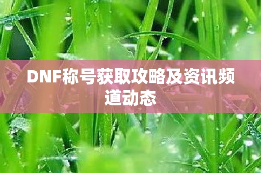 DNF称号获取攻略及资讯频道动态图片