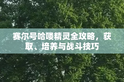 赛尔号哈喽精灵全攻略图片