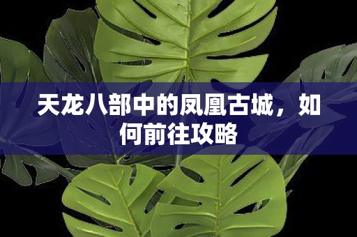 天龙八部中的凤凰古城图片