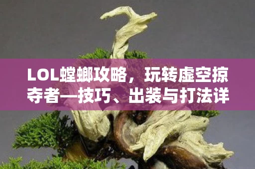 LOL螳螂攻略图片