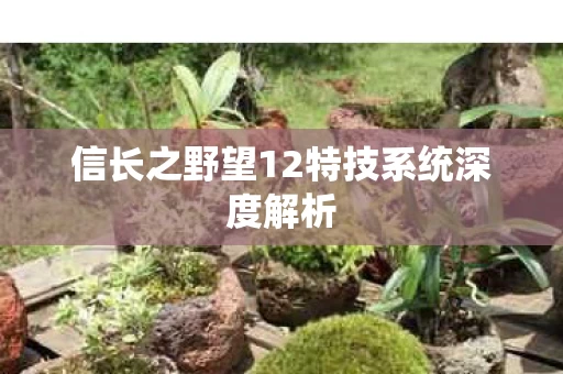 信长之野望12特技系统深度解析图片