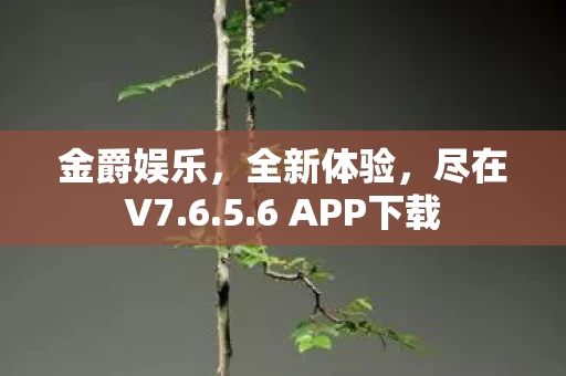 6 APP下载图片