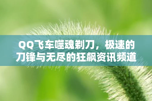 极速的刀锋与无尽的狂飙资讯频道图片