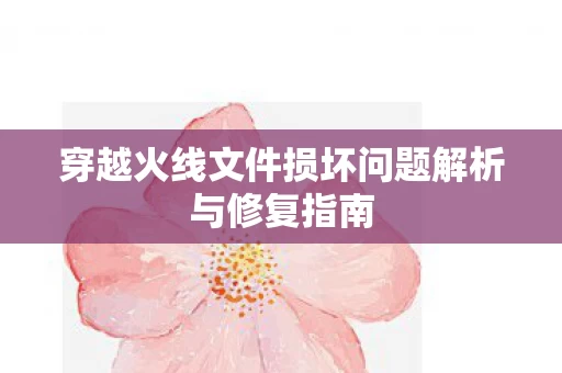 穿越火线文件损坏问题解析与修复指南图片