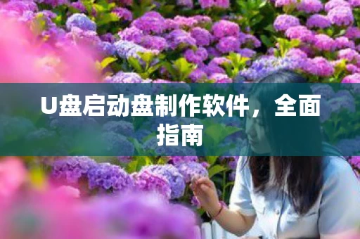 U盘启动盘制作软件图片