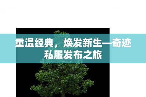 奇迹私服发布之旅图片