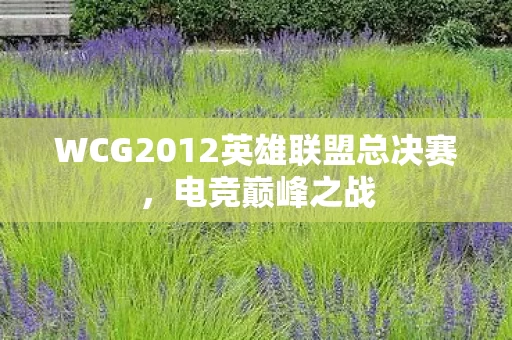 WCG2012英雄联盟总决赛图片