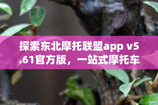 探索东北摩托联盟app v5图片