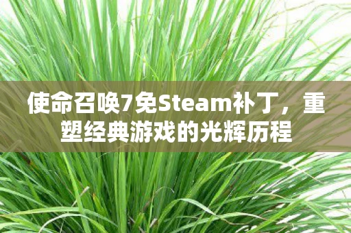 使命召唤7免Steam补丁图片