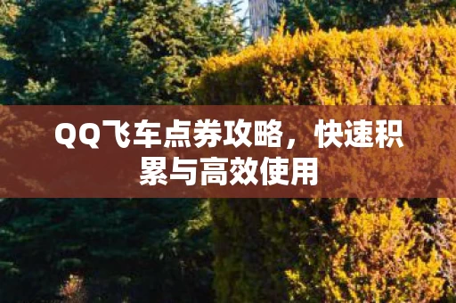 QQ飞车点券攻略,快速积累与高效使用 QQ飞车点券攻略,快速积累与高效使用