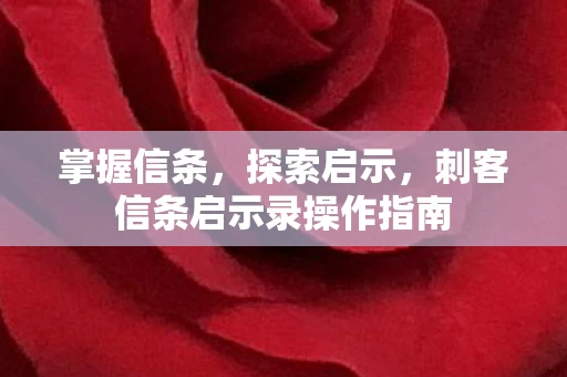 刺客信条启示录操作指南图片