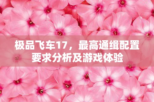 最高通缉配置要求分析及游戏体验图片