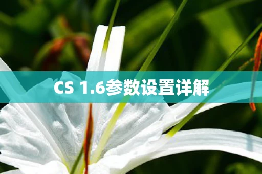6参数设置详解图片