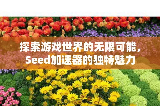 Seed加速器的独特魅力图片
