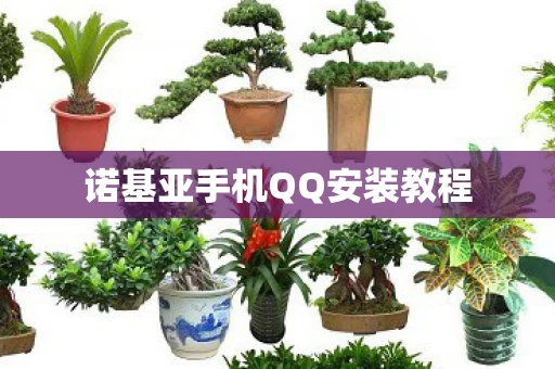 诺基亚手机QQ安装教程图片