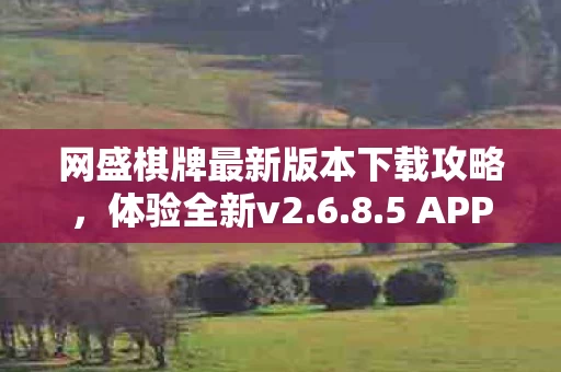 网盛棋牌最新版本下载攻略图片