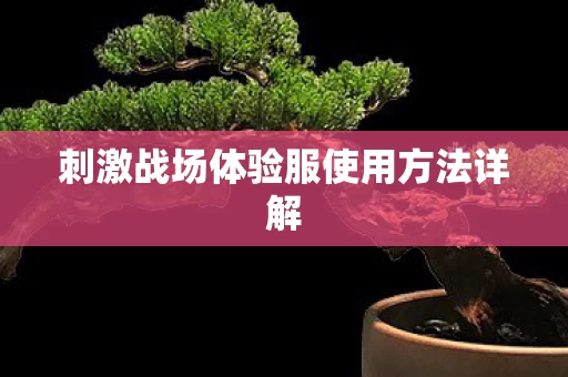 刺激战场体验服使用方法详解图片