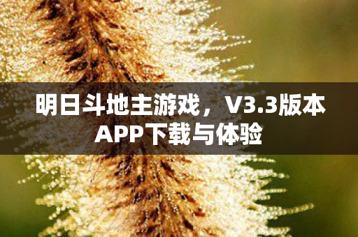 3版本APP下载与体验图片