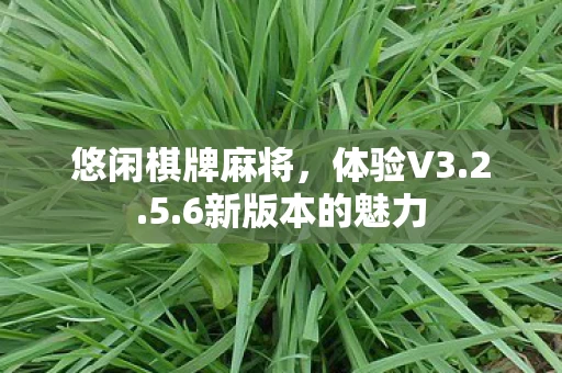 6新版本的魅力图片
