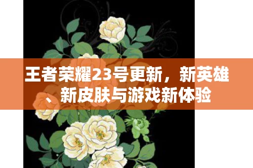 王者荣耀23号更新图片