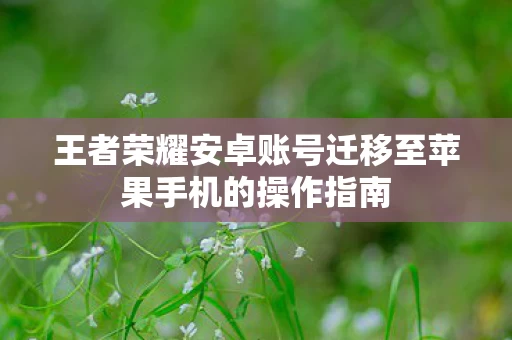 王者荣耀安卓账号迁移至苹果手机的操作指南图片