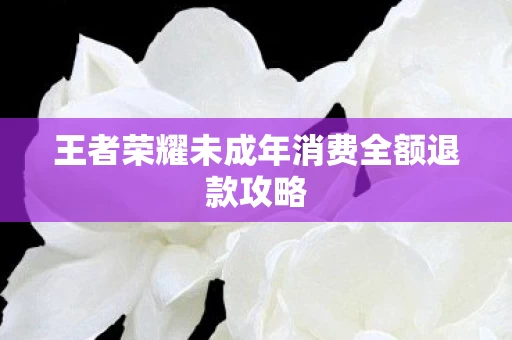 王者荣耀未成年消费全额退款攻略图片