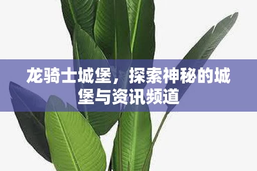 探索神秘的城堡与资讯频道图片