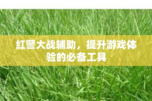 提升游戏体验的必备工具图片