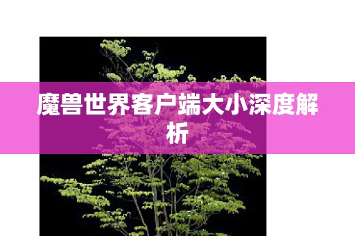 魔兽世界客户端大小深度解析图片