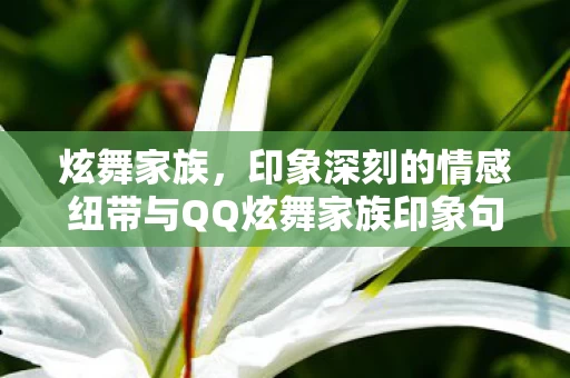 印象深刻的情感纽带与QQ炫舞家族印象句子图片
