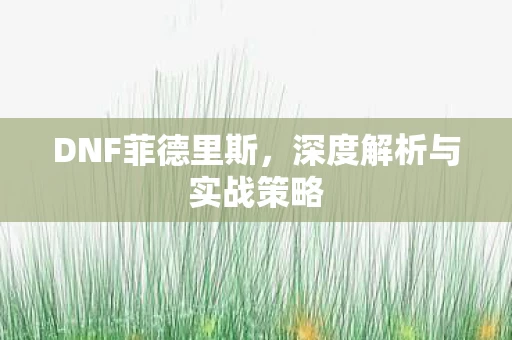 深度解析与实战策略图片