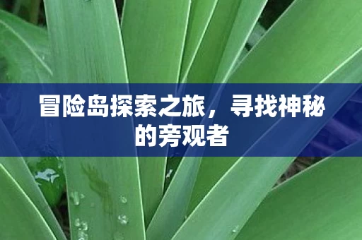寻找神秘的旁观者图片
