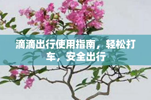 滴滴出行使用指南图片