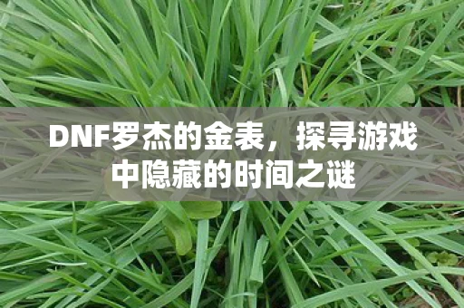 探寻游戏中隐藏的时间之谜图片