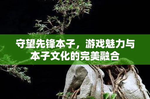 游戏魅力与本子文化的完美融合图片