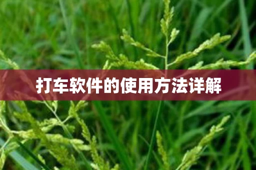 打车软件的使用方法详解图片