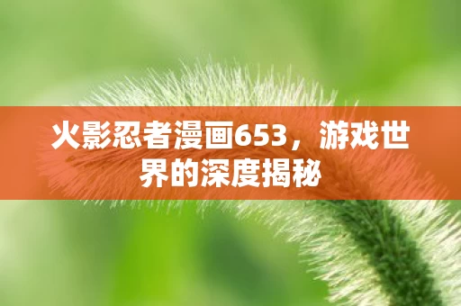 火影忍者漫画653图片