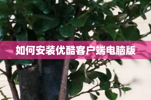 如何安装优酷客户端电脑版图片