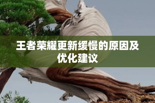 王者荣耀更新缓慢的原因及优化建议图片