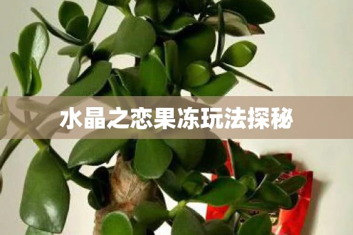 水晶之恋果冻玩法探秘图片