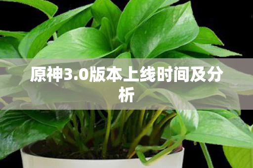0版本上线时间及分析图片