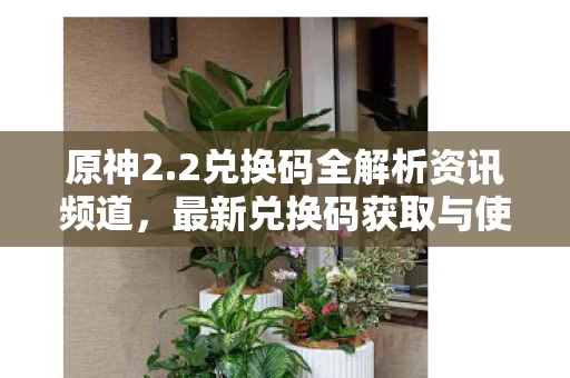 最新兑换码获取与使用指南图片